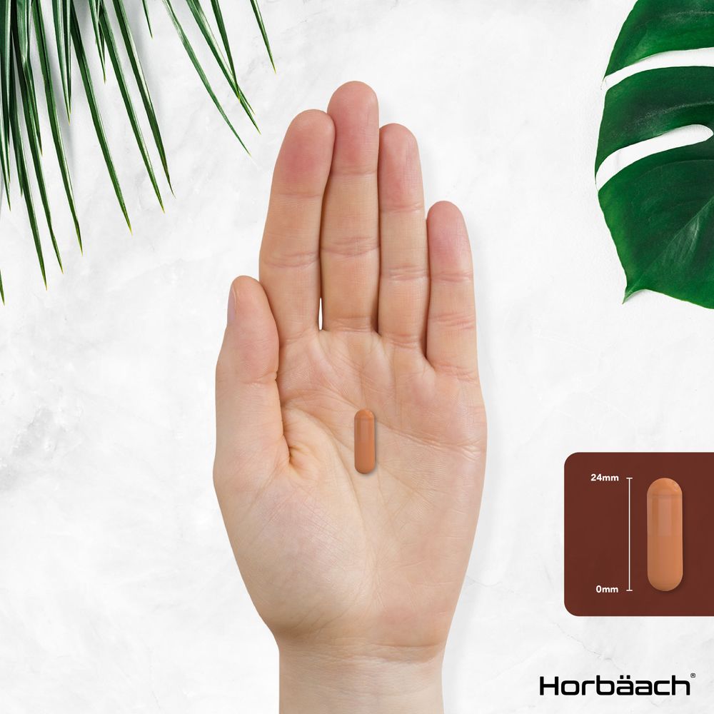 Chaga Mushroom 8000 mg | 90 Capsules