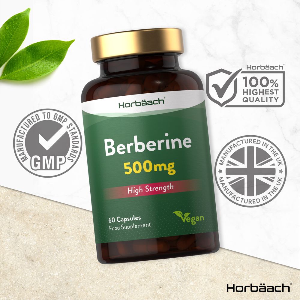 Berberine 500 mg | 60 Capsules
