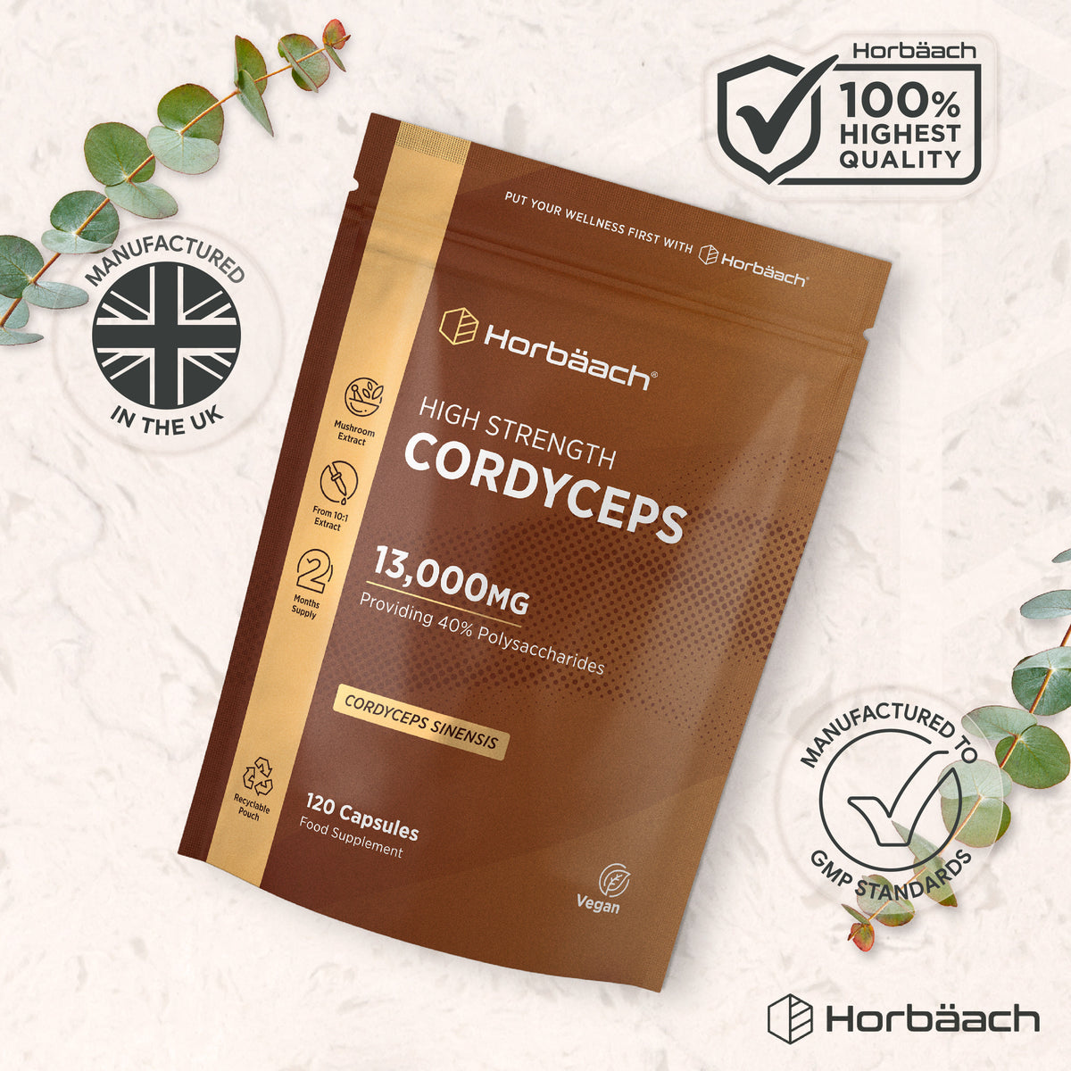 Horbäach High Strength Cordyceps 13,000MG, 120 Vegan Capsules. Provides 40% polysaccharides from mushroom extract.