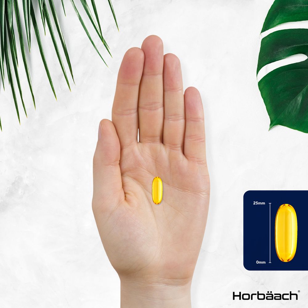 Omega 3 Fish Oil 2000 mg | 120 Softgels