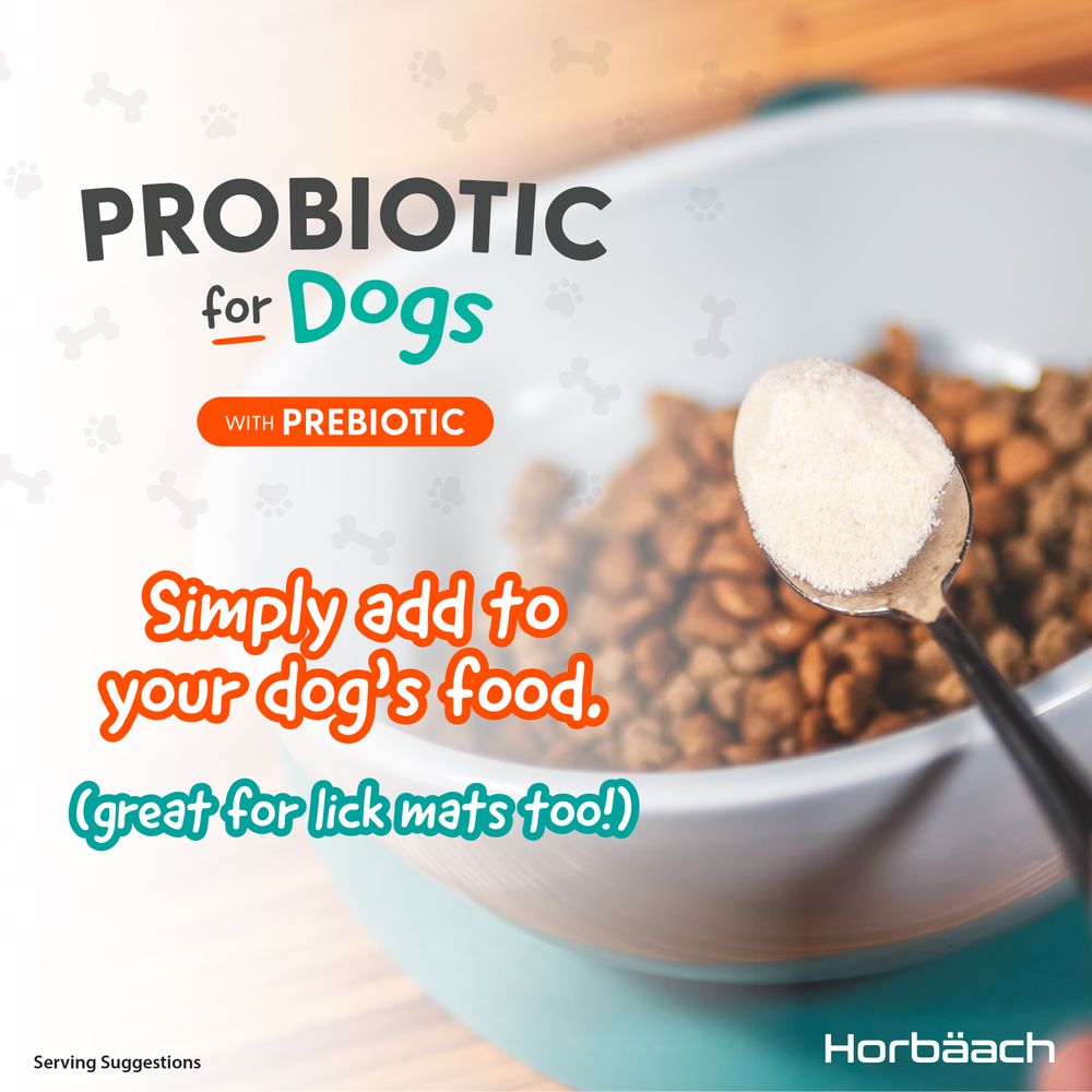 Biotics Powder with Prebiotic for Dogs | 100 g