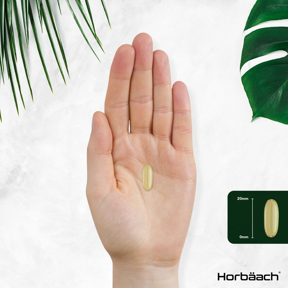 Hemp Seed Oil 3000 mg | 180 Softgels