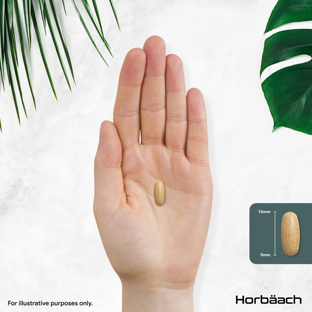 Dandelion Root 750 mg | 90 Tablets