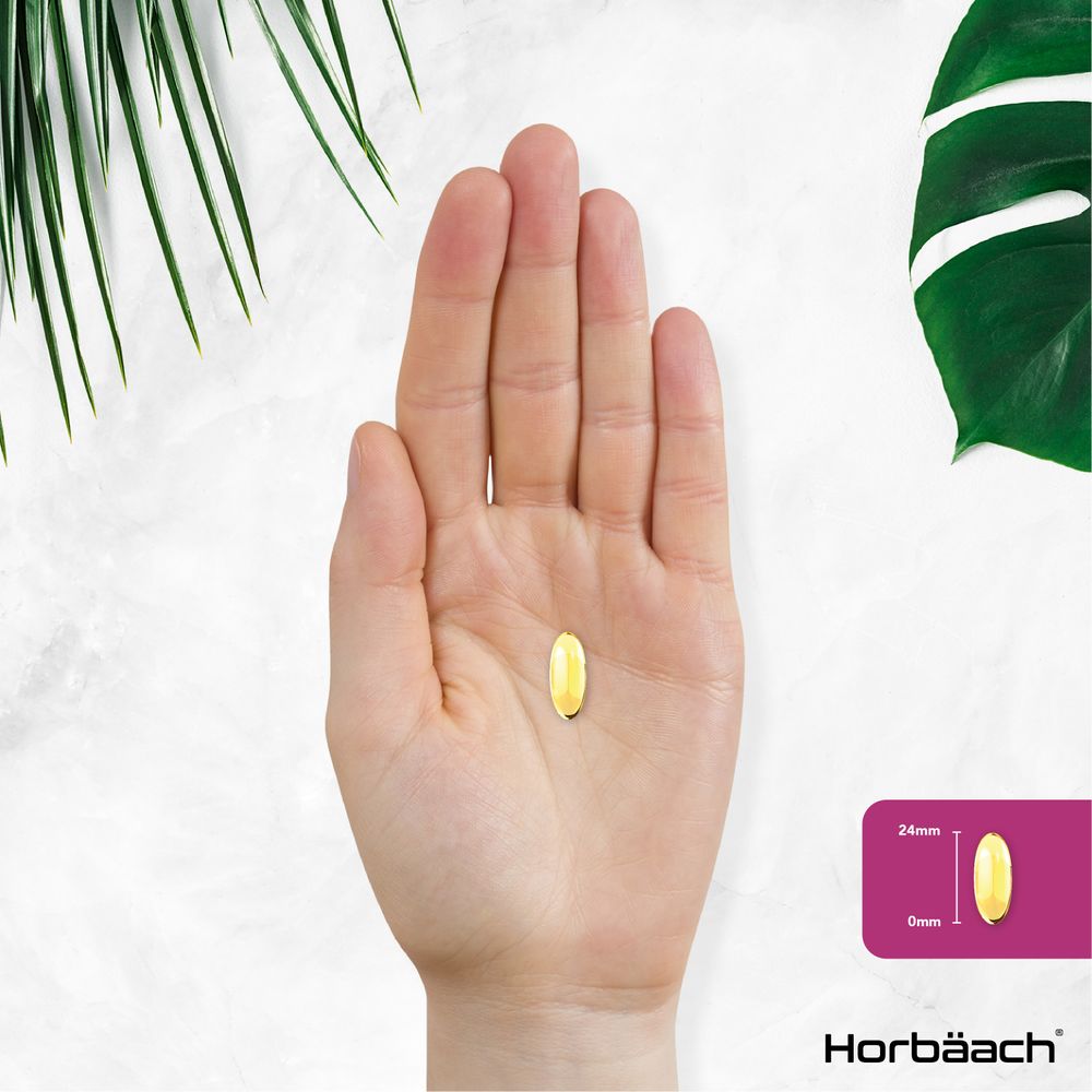 Evening Primrose Oil 2600 mg | 90 Softgels