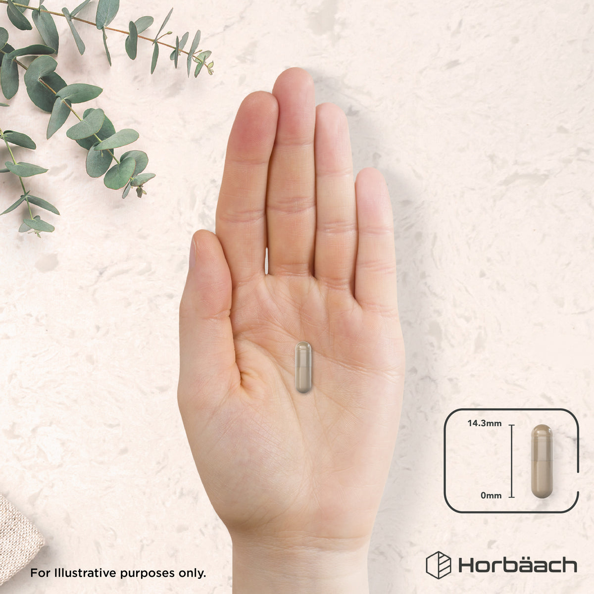 A hand holds a capsule measuring 14.3mm, showcasing its size.