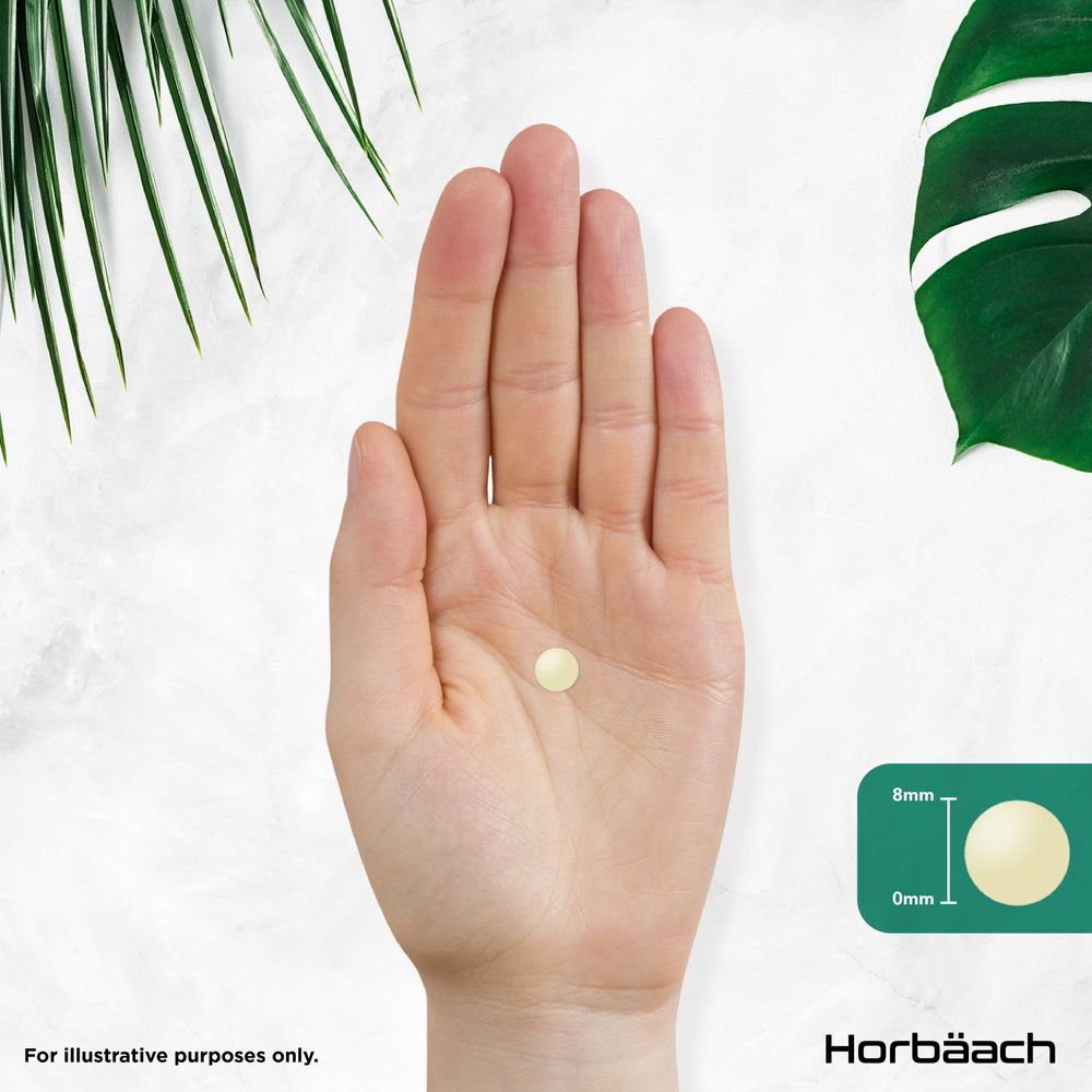 Vitamin B Complex | 365 Tablets