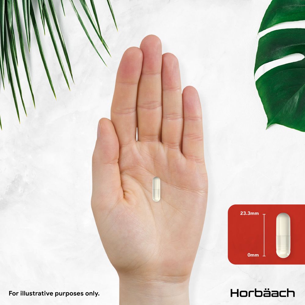 L-Arginine HCI 1800 mg | 120 Capsules