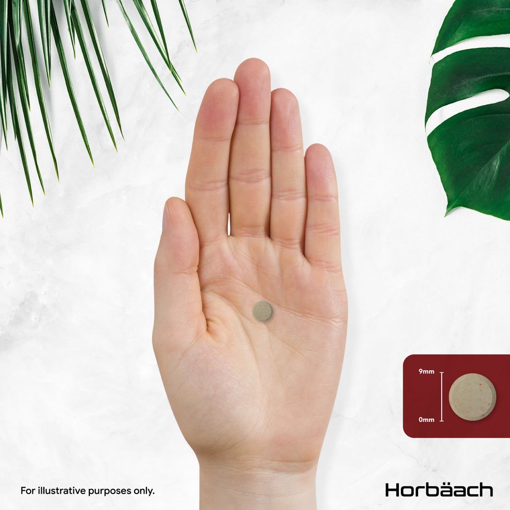 Iron Bisglycinate 28 mg | 500 Tablets