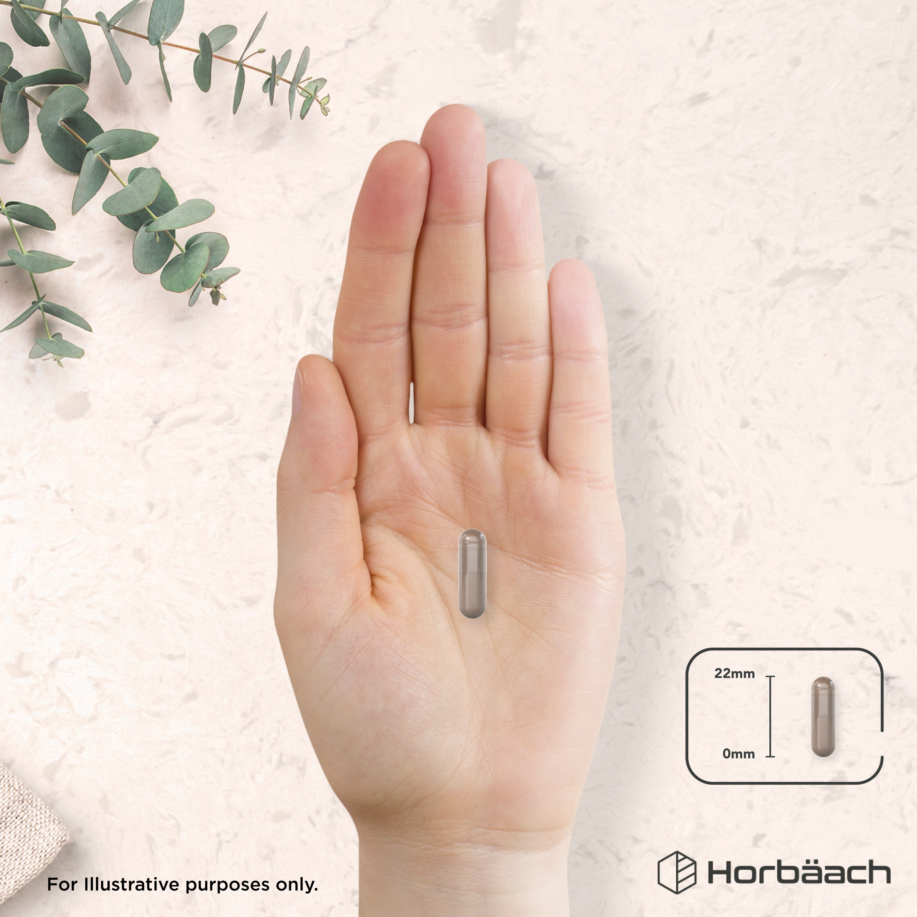A 22mm capsule is placed in the palm of a hand.