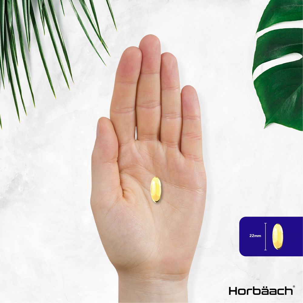 Flaxseed Oil 2000 mg | 360 Softgels