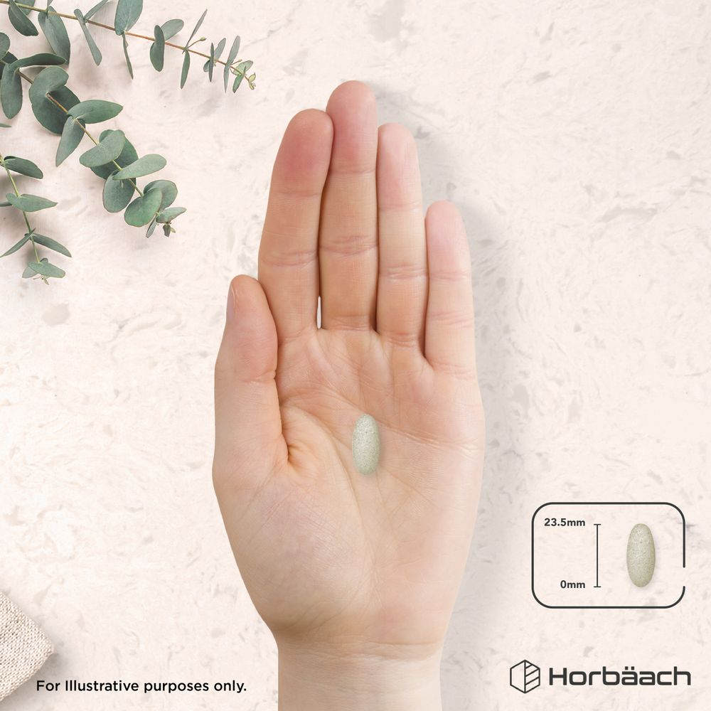 Vegetarian tablet in hand beside graphic showing it measures 23.5mm in length.