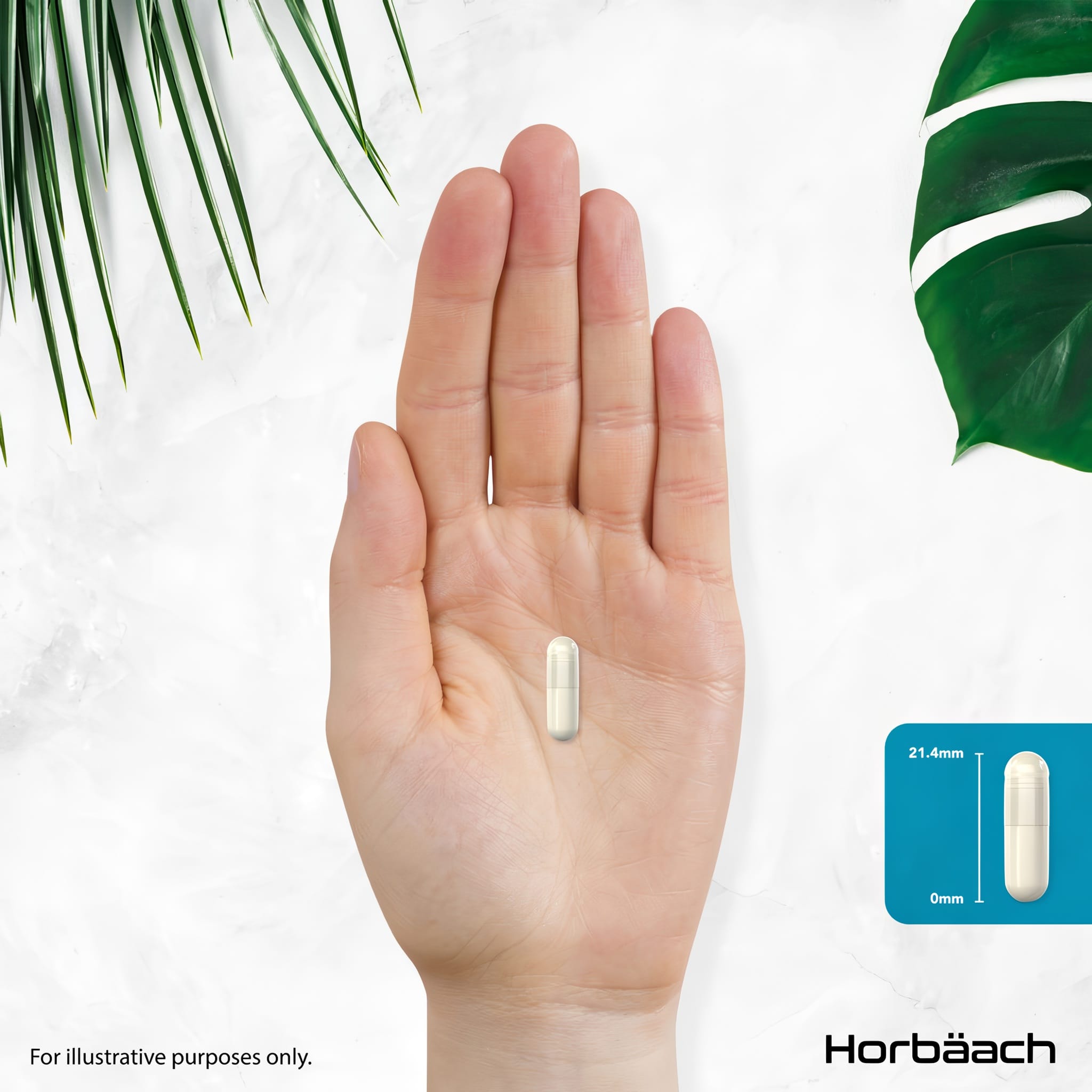 A hand holds a translucent white capsule, showing its length as 21.4mm.