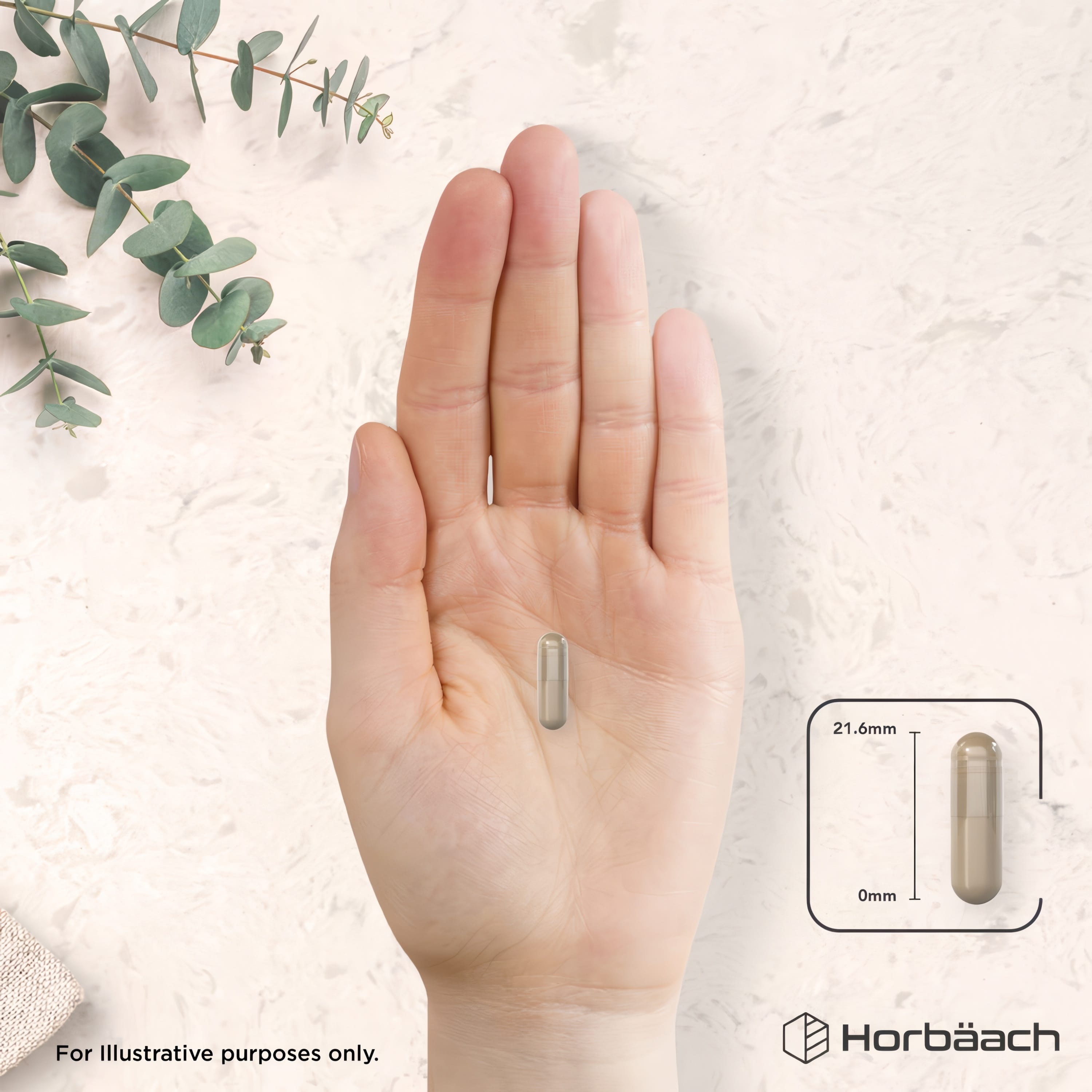 A vegan capsule in a hand, with an inset diagram indicating the capsule measures 21.6mm.