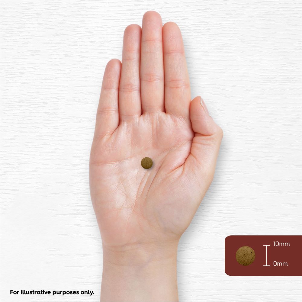 A hand holds a round tablet with a graphic showing its height is 10mm.