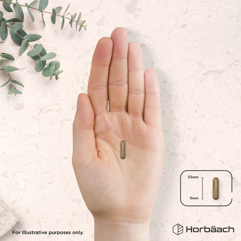 A hand holding a 23mm brown capsule, with an illustration indicating its 23mm length.