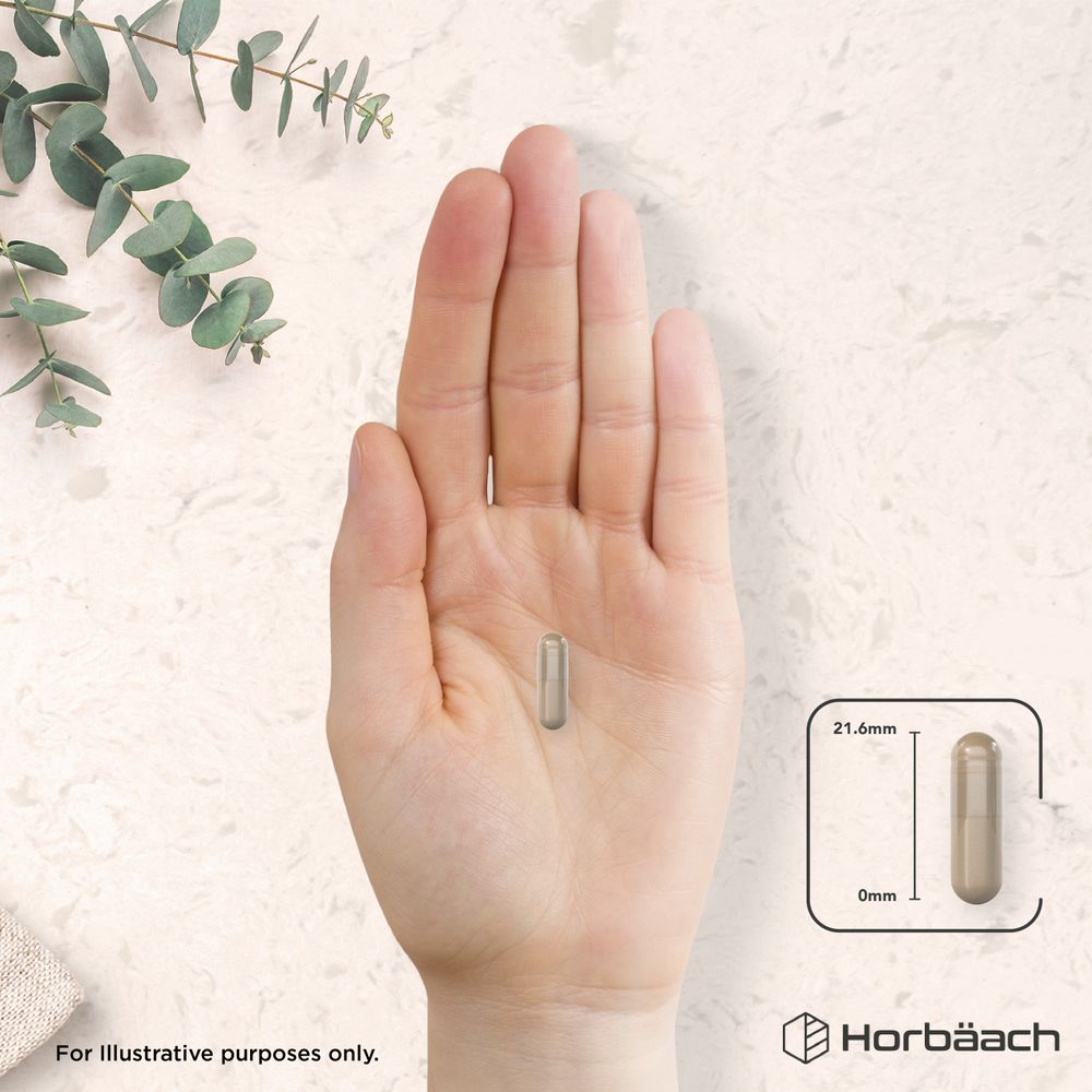 Mullein Leaf 25,000 mg | 60 Capsules