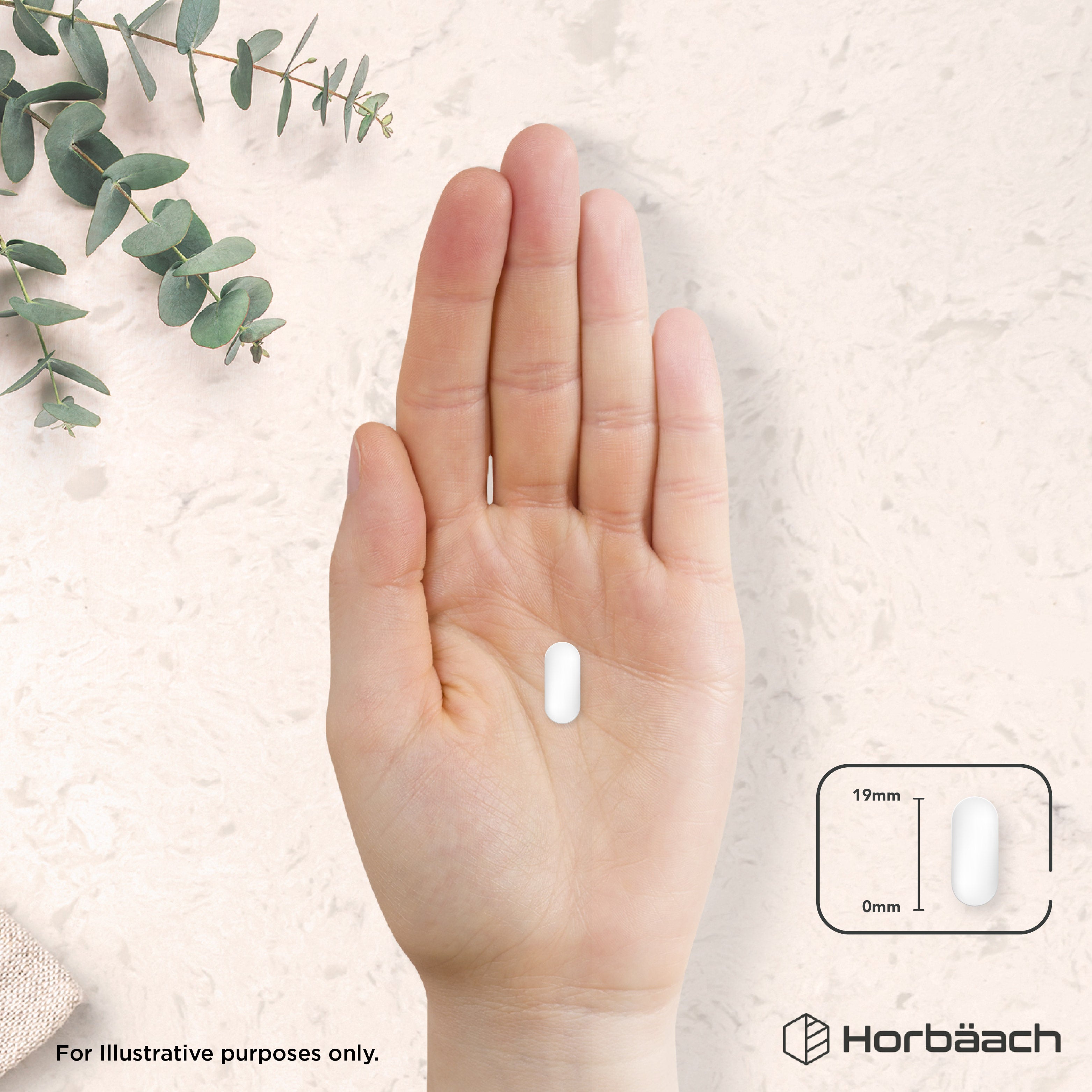 A hand holds a white oblong tablet, with an inset showing the tablet's length is 19mm.