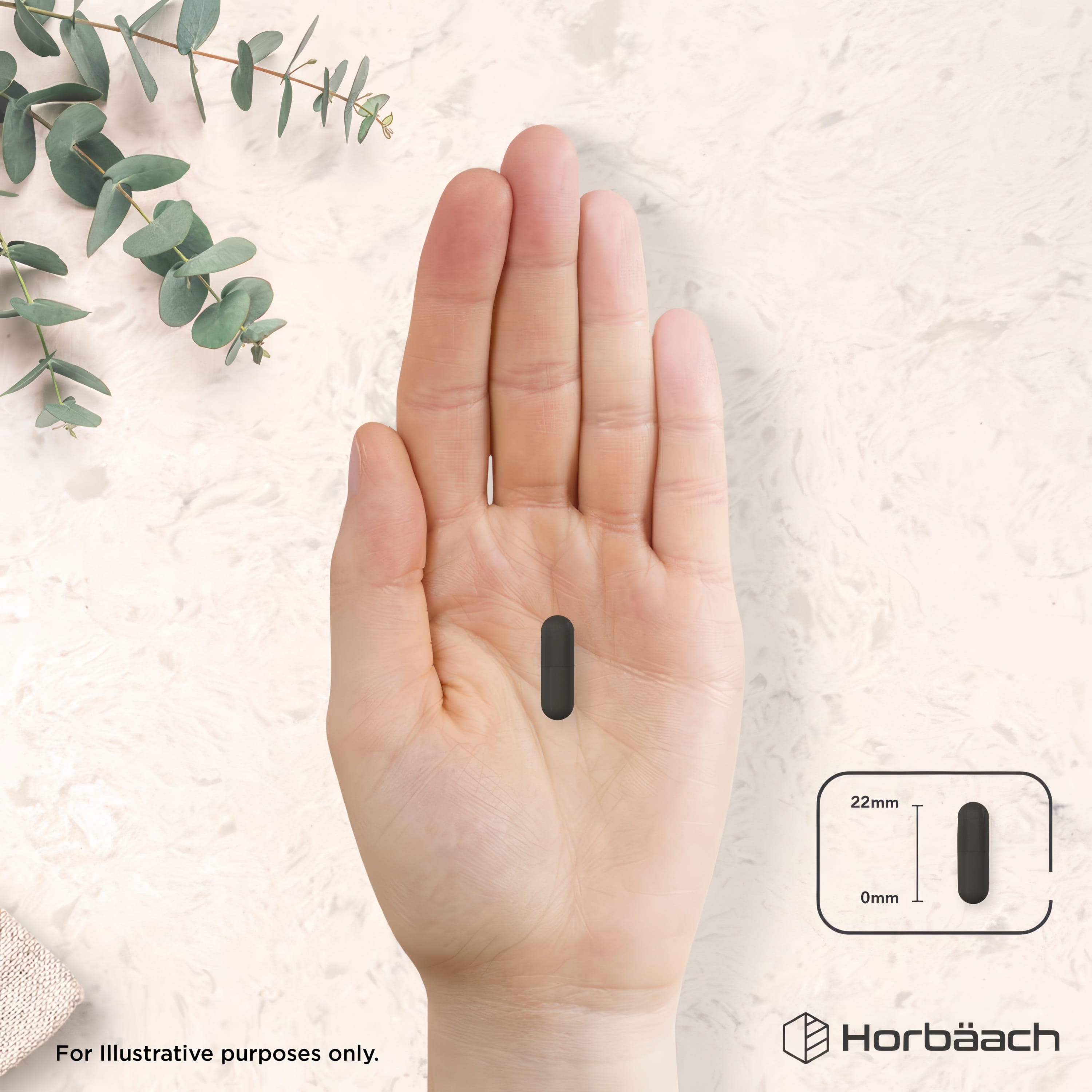 A 22mm long dark capsule is held in the palm of a hand.