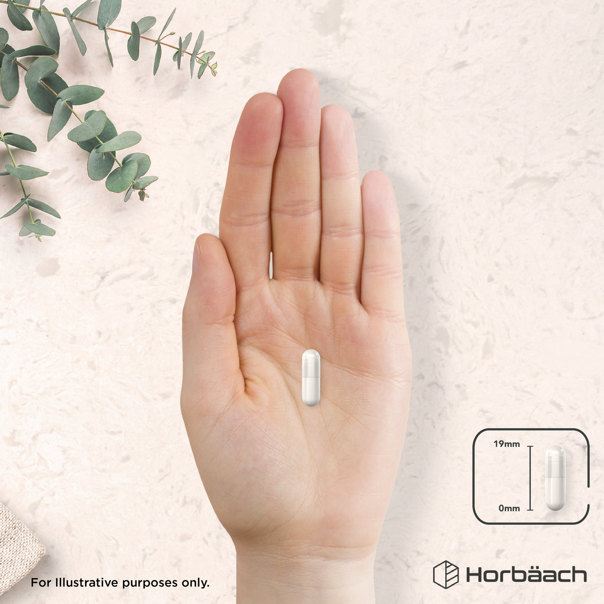 A 19mm capsule is displayed on an open hand.