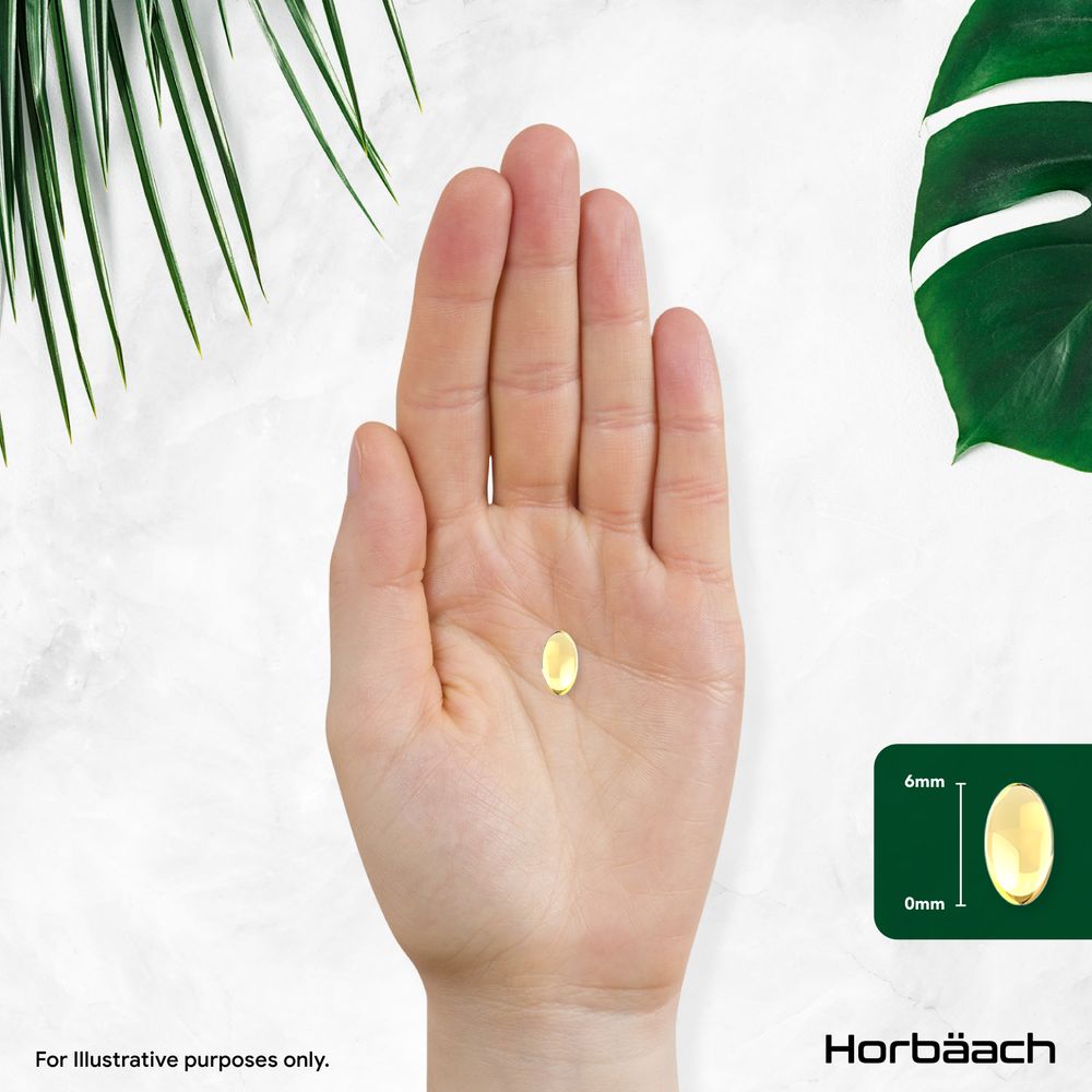 Peppermint Oil 200 mg | 365 Softgels