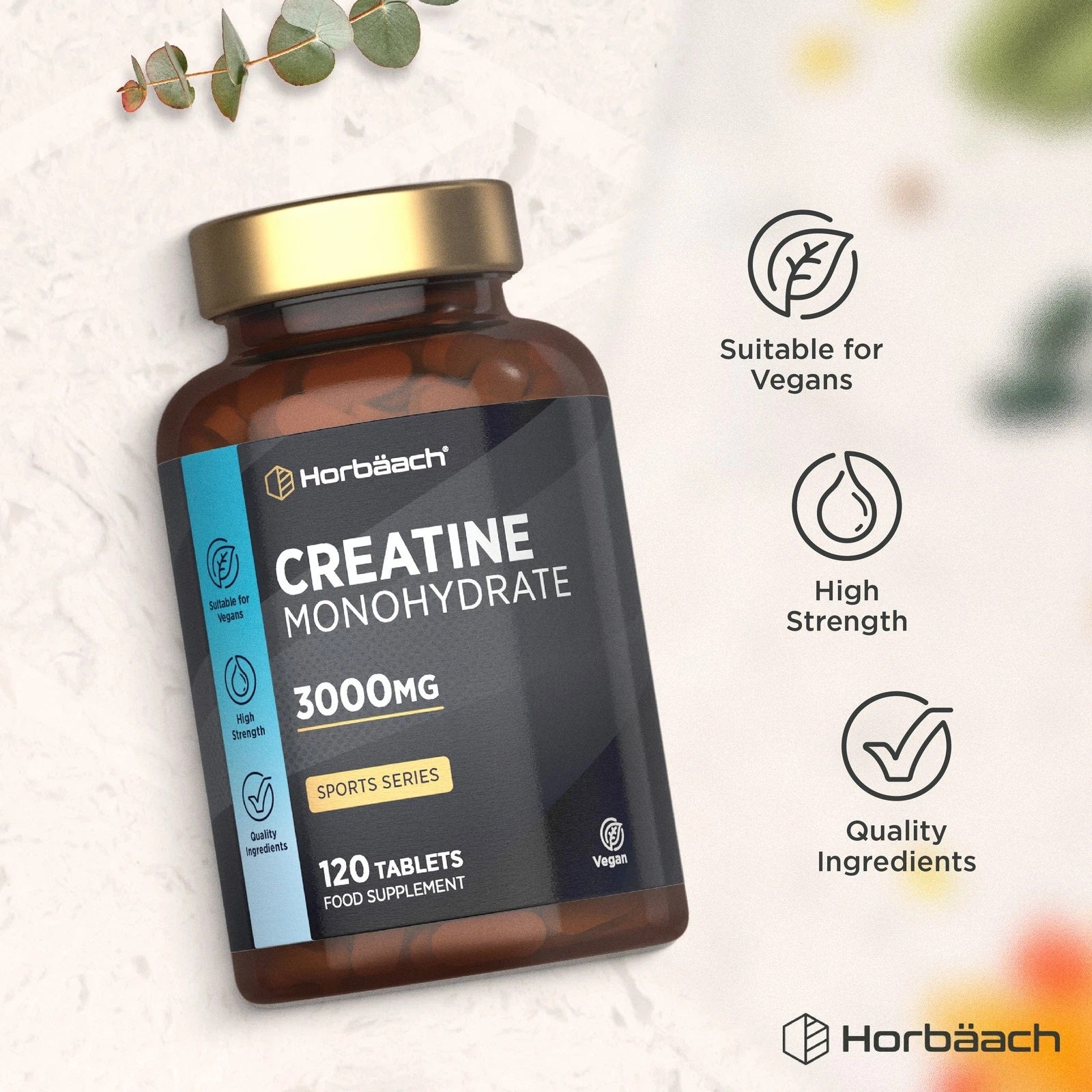 Creatine Monohydrate 3000 mg | 120 Tablets