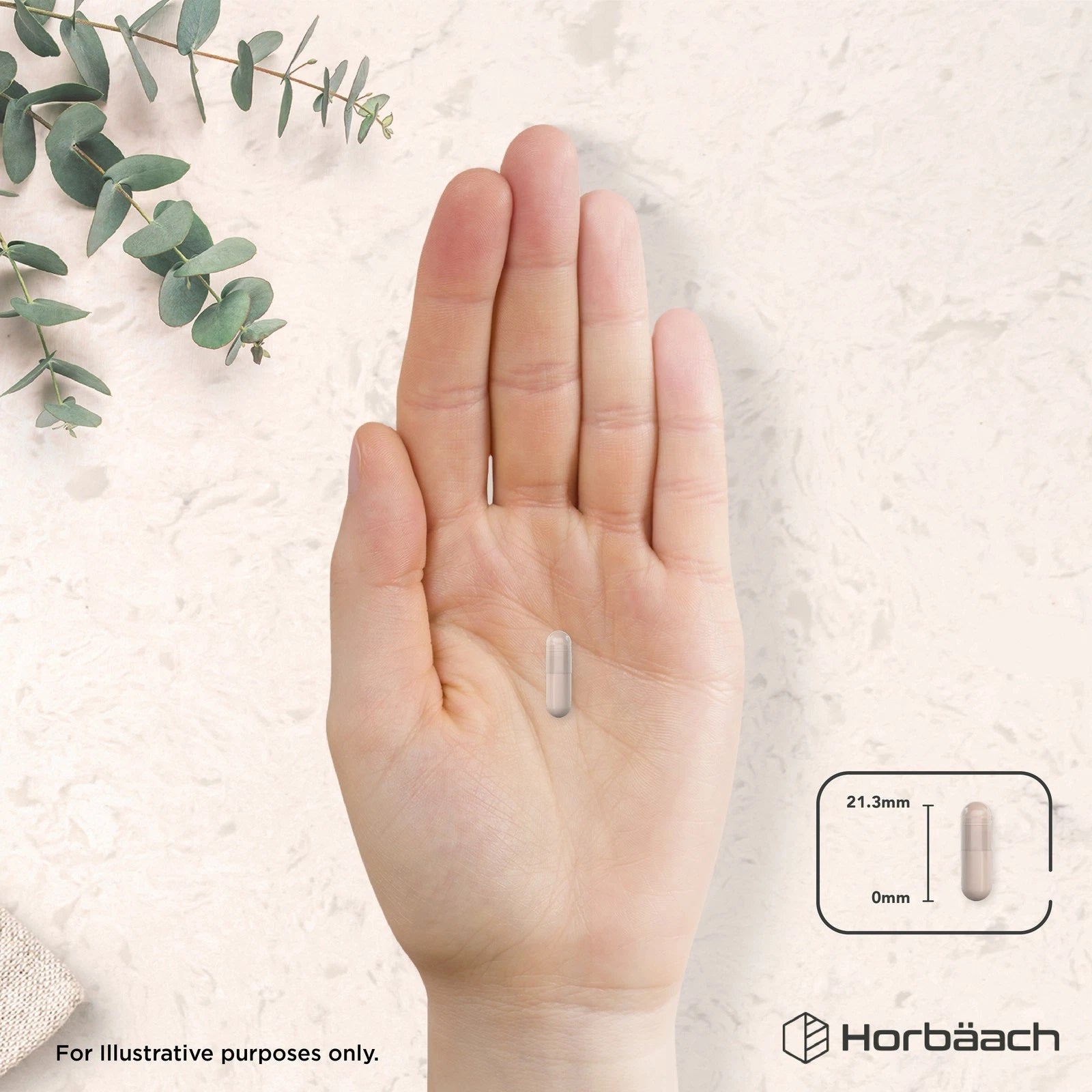 Ashwagandha KSM-66 1200 mg | Organic | 120 Capsules