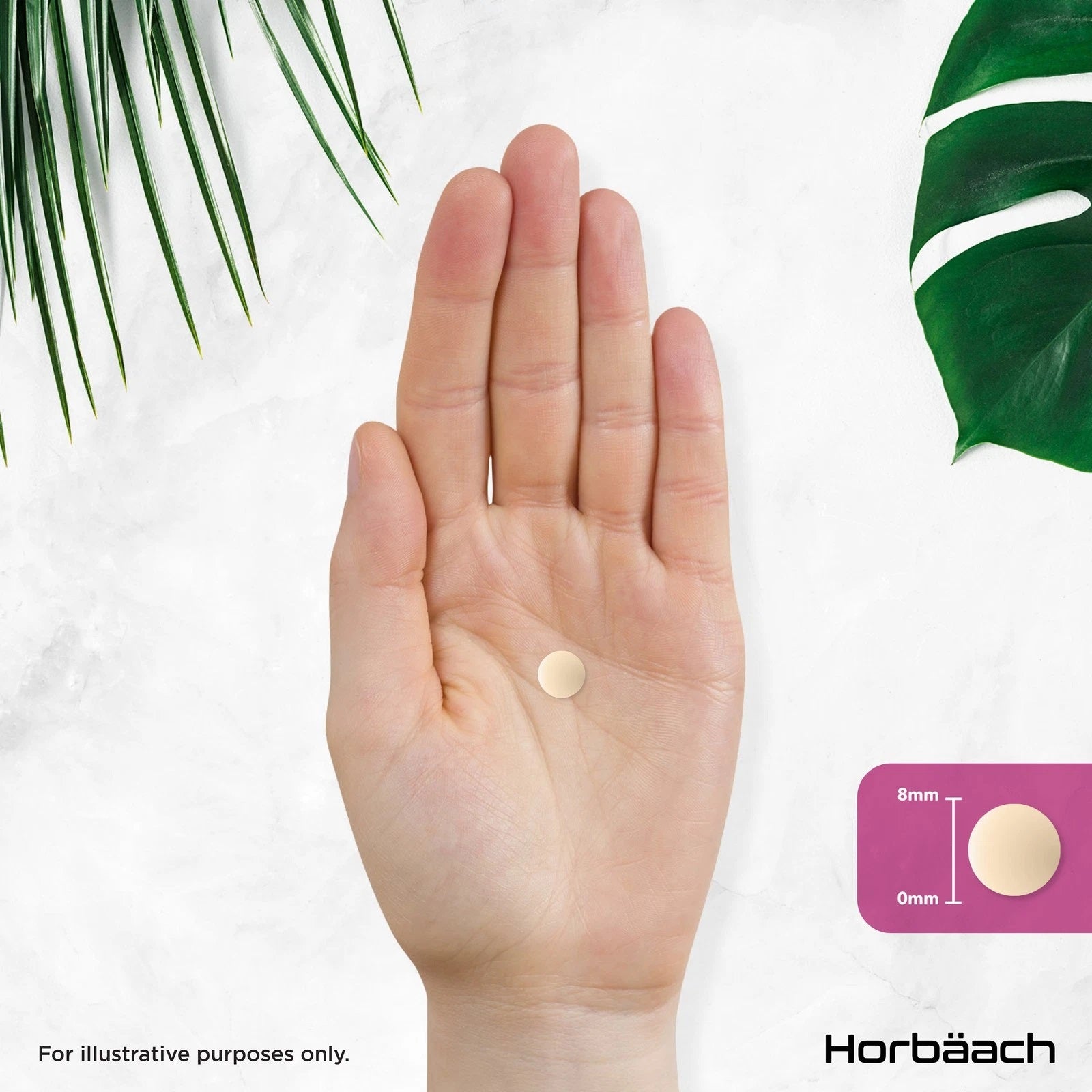 Milk Thistle | 240 Tablets