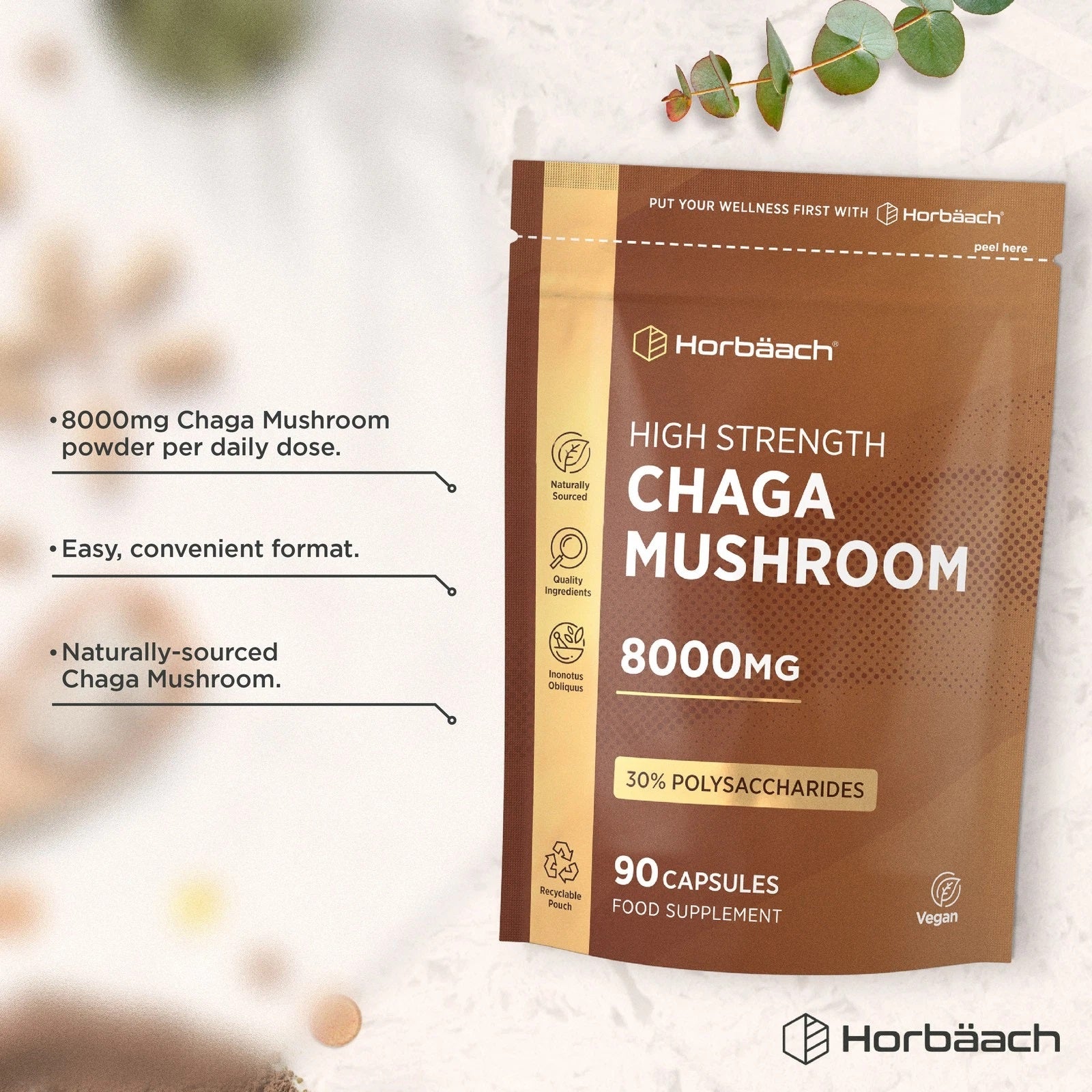 Chaga Mushroom 8000 mg | 90 Capsules