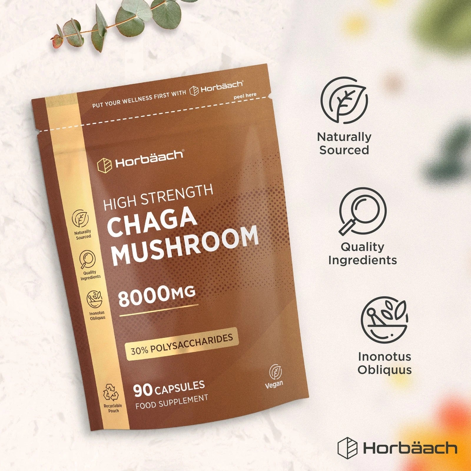 Chaga Mushroom 8000 mg | 90 Capsules