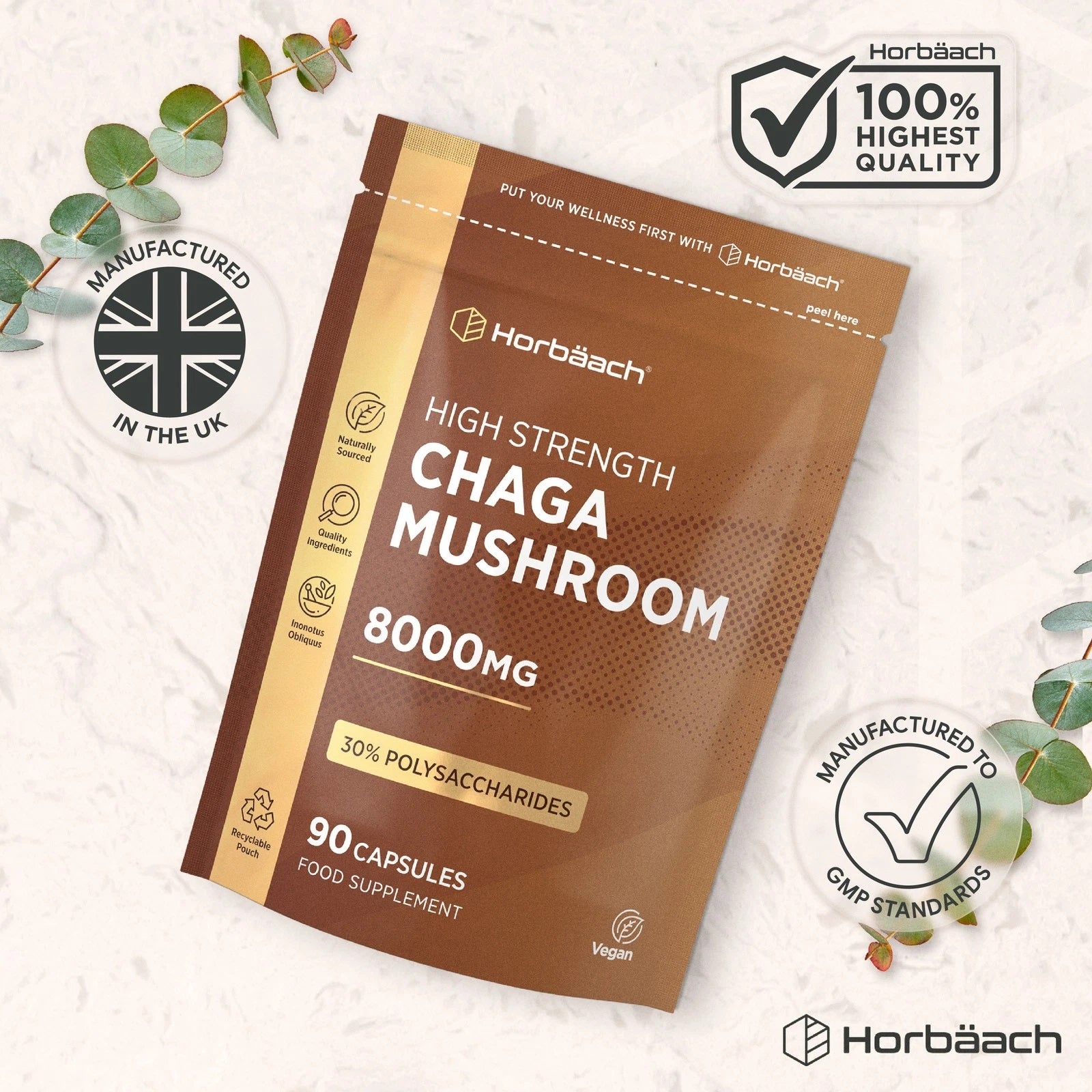 Chaga Mushroom 8000 mg | 90 Capsules