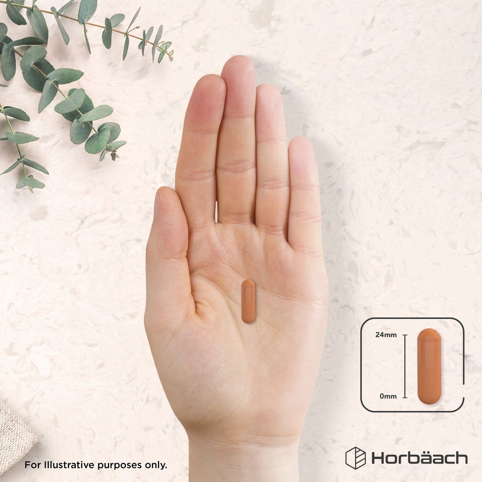 Chaga Mushroom 8000 mg | 90 Capsules