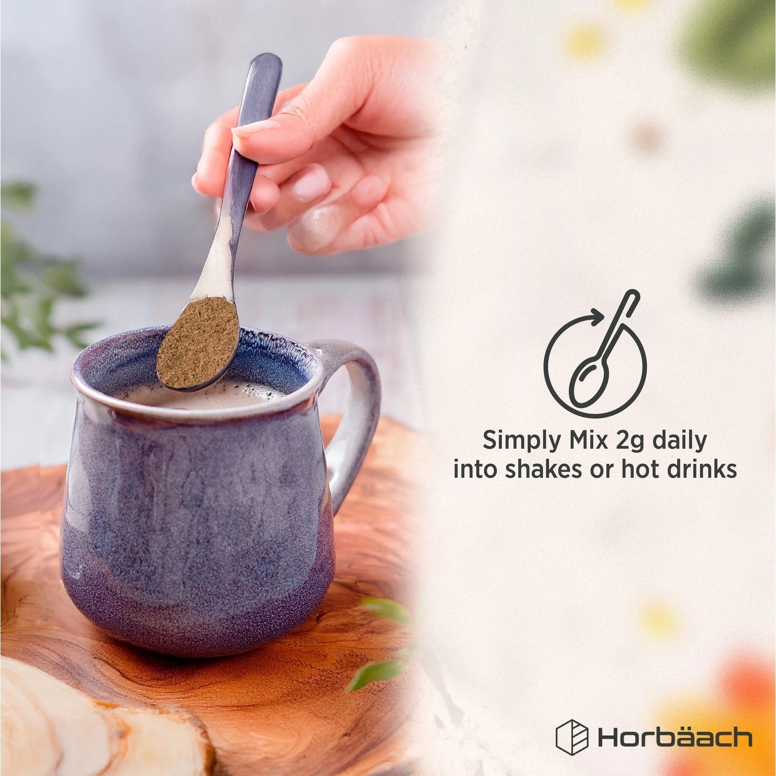 Reishi Mushroom Powder | 100 g