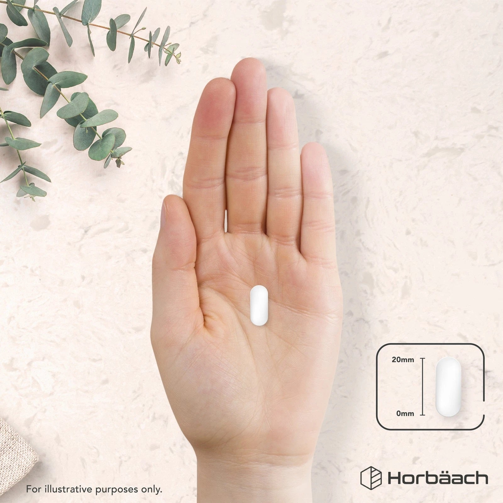 Electrolyte Plus | 240 Tablets