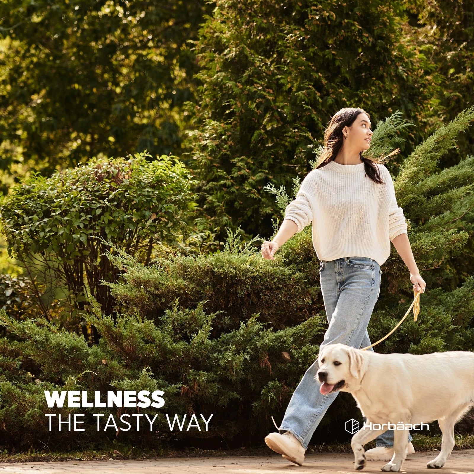 Ashwagandha 3000 mg | 60 Gummies