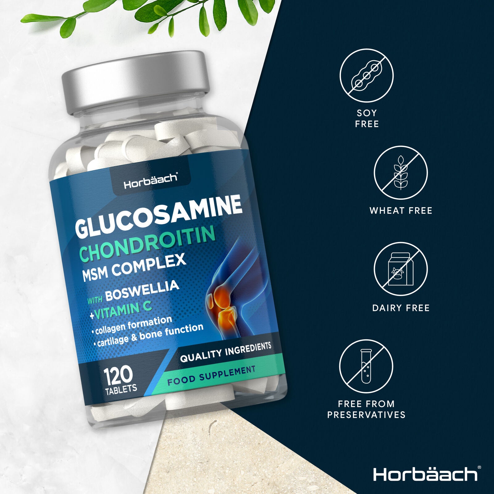 Glucosamine and Chondroitin MSM Complex | 120 Tablets