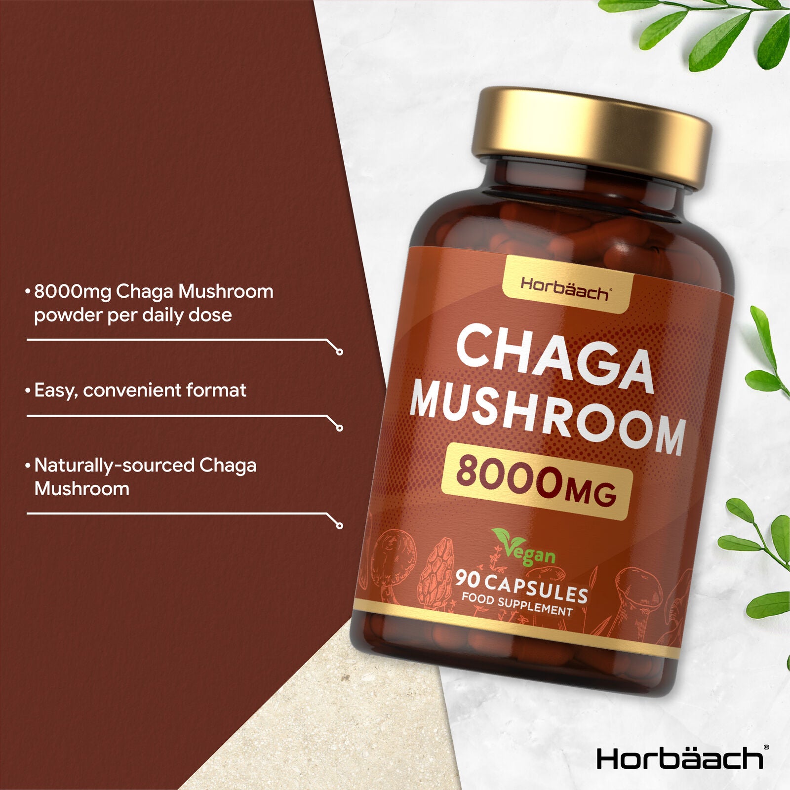 Chaga Mushroom 8000 mg | 90 Capsules