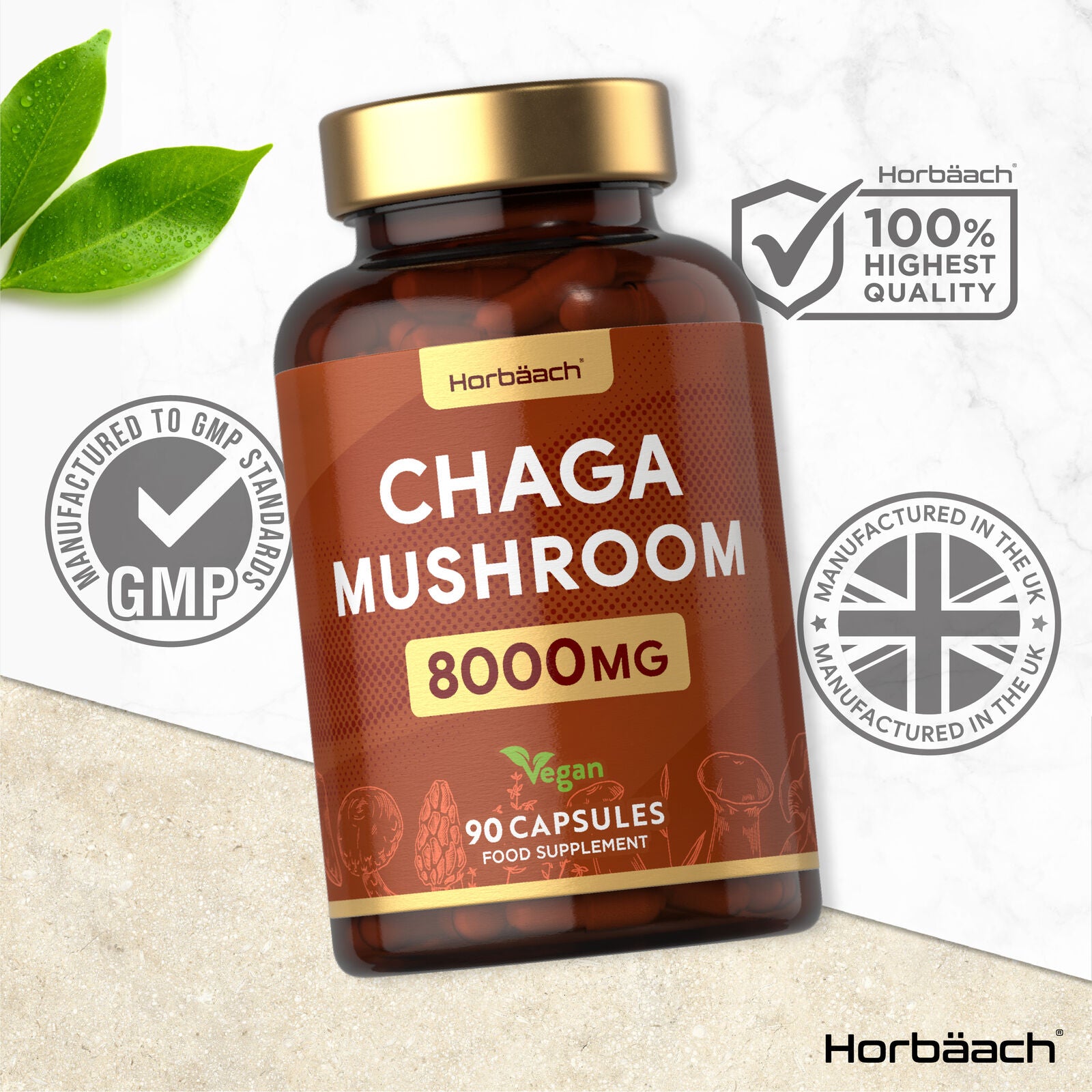 Chaga Mushroom 8000 mg | 90 Capsules