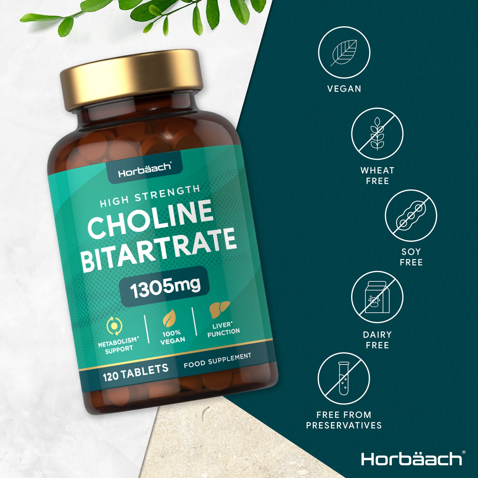 Choline Bitartrate 1305 mg | 120 Tablets