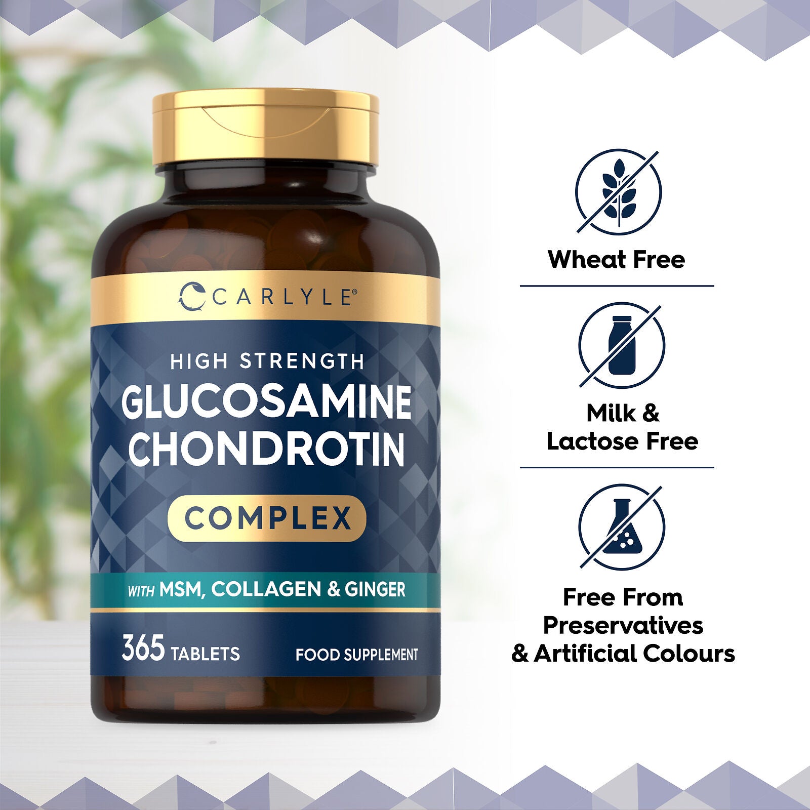 Glucosamine and Chondroitin Complex | 365 Tablets