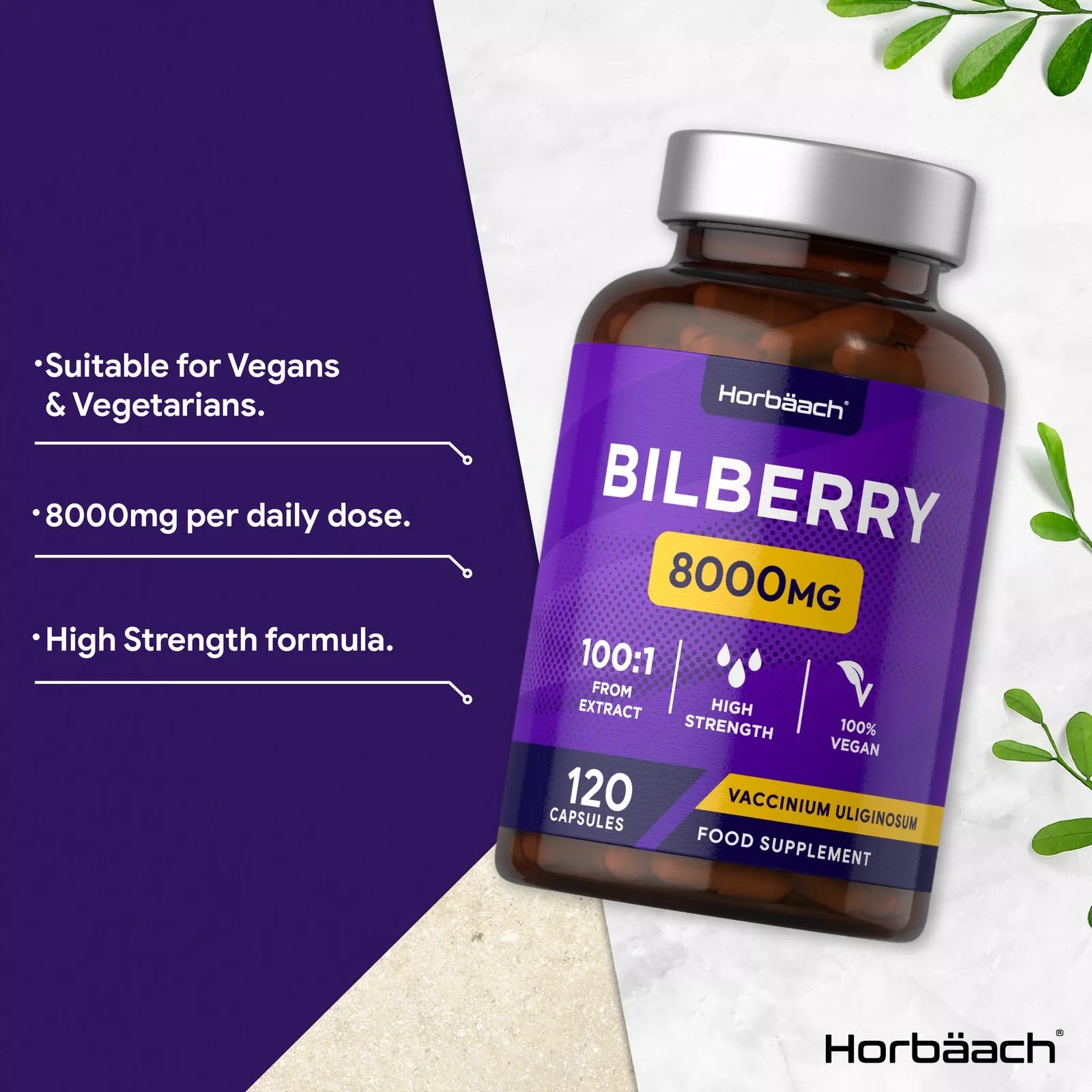 Bilberry 8000 mg | 120 Capsules