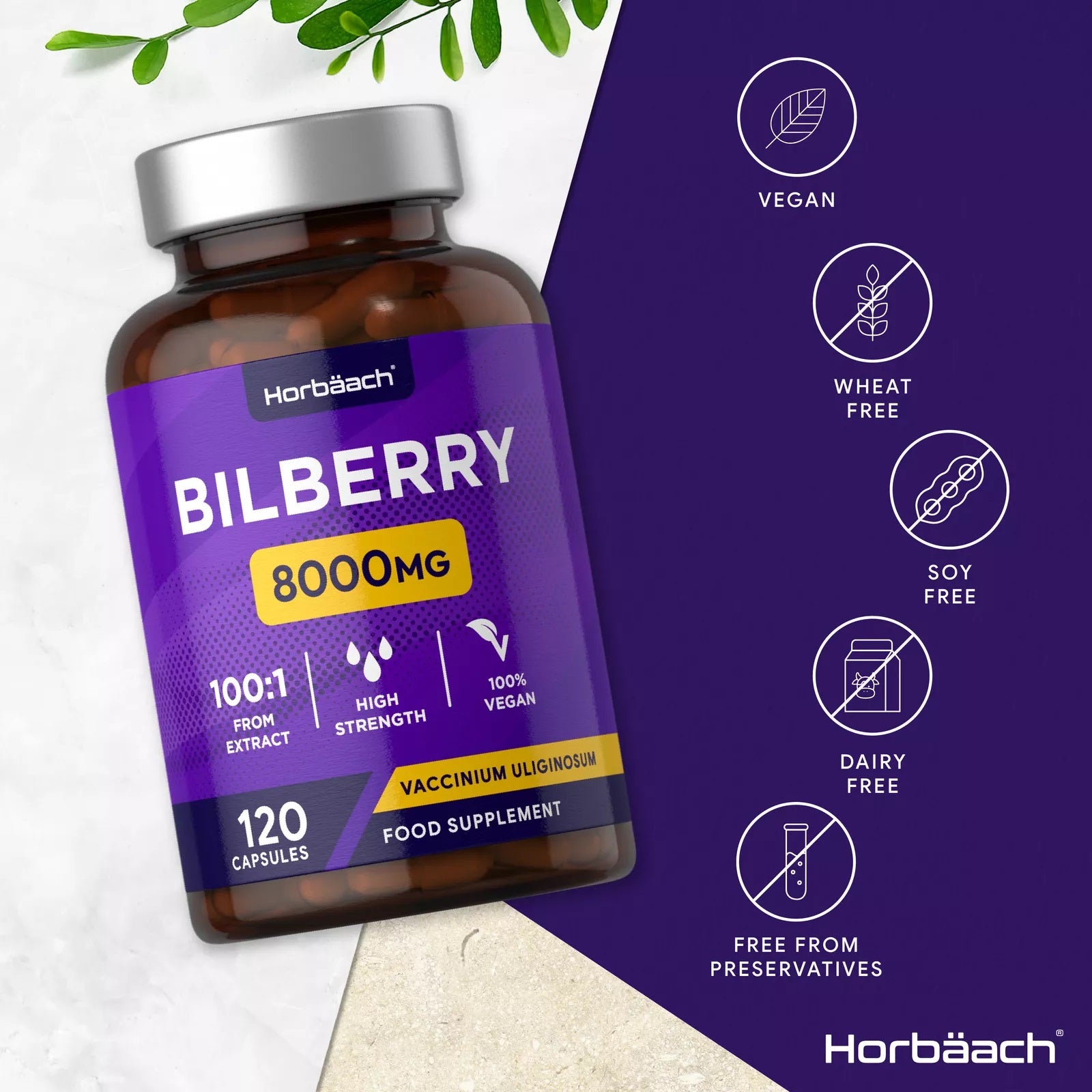 Bilberry 8000 mg | 120 Capsules