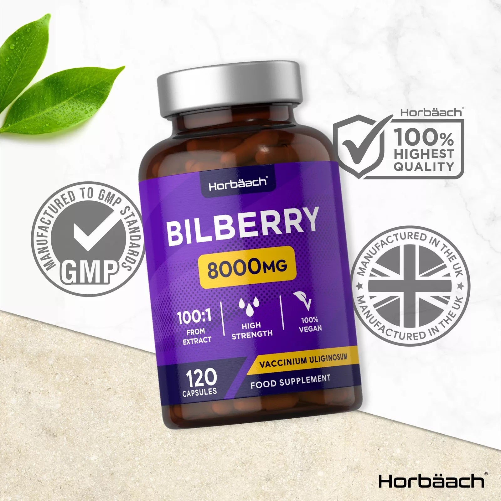 Bilberry 8000 mg | 120 Capsules