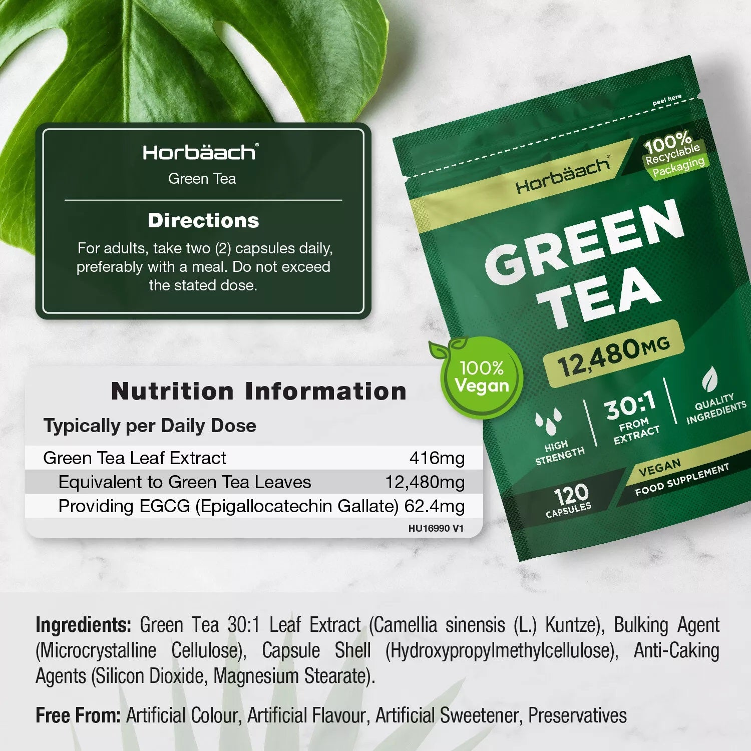 Green Tea 12,480 mg | 120 Capsules