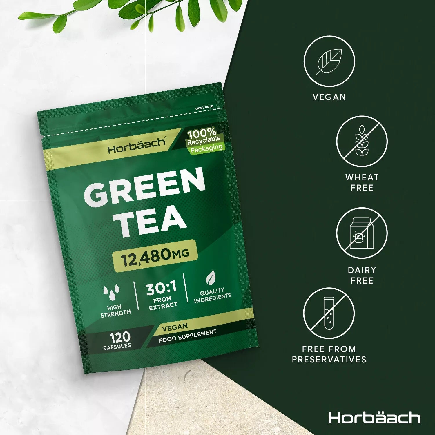 Green Tea 12,480 mg | 120 Capsules