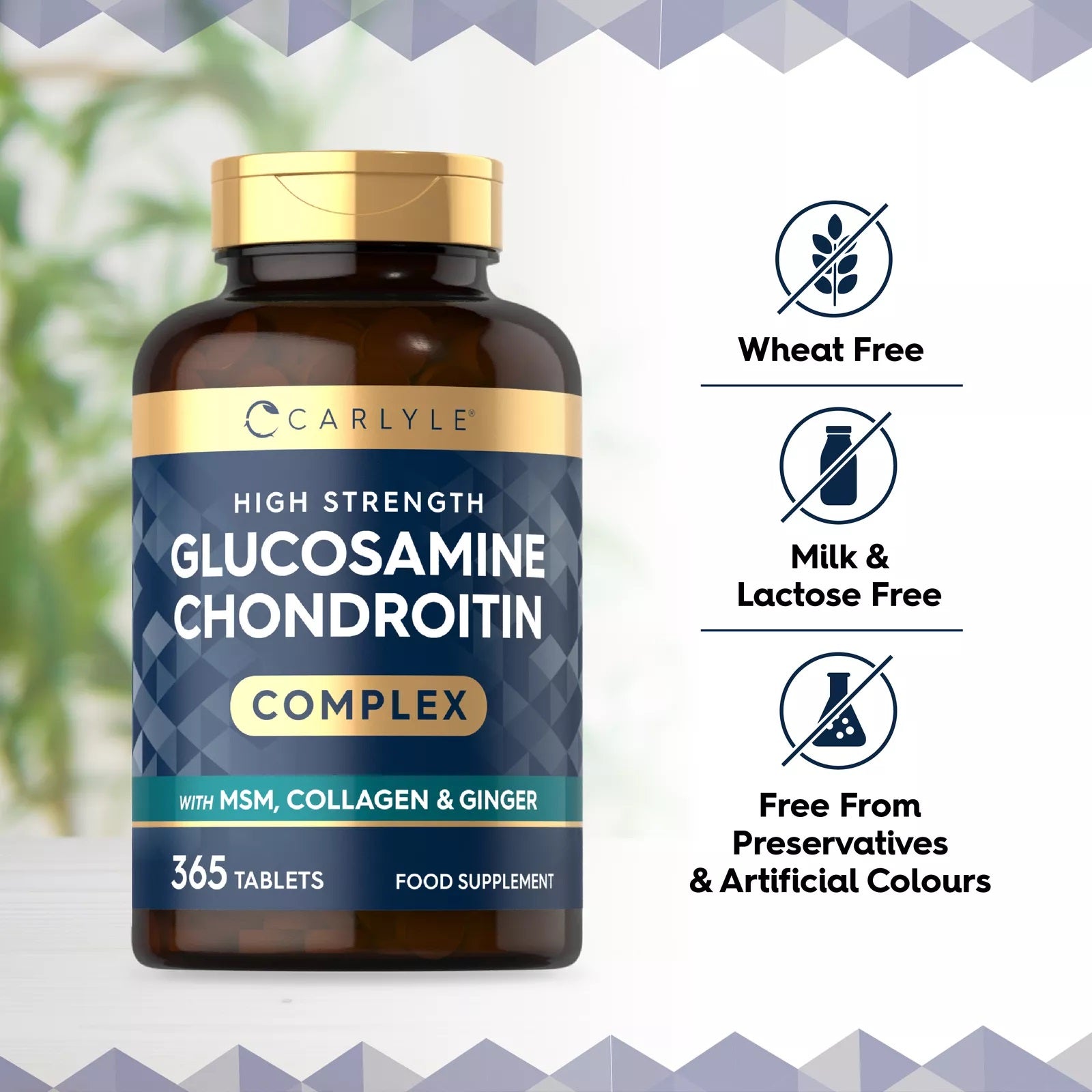 Glucosamine and Chondroitin Complex | 365 Tablets