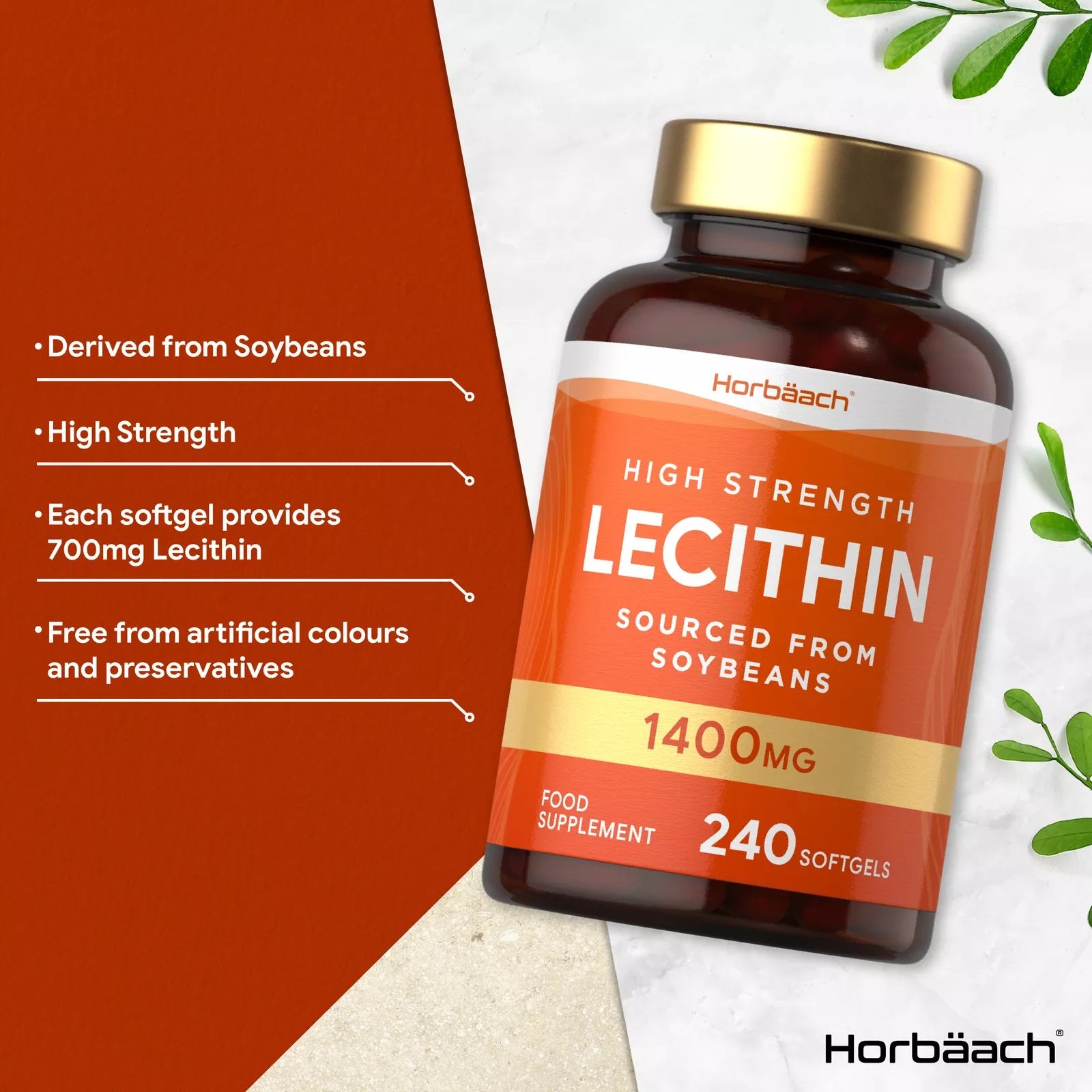 Soy Lecithin 1400 mg | 240 Softgels