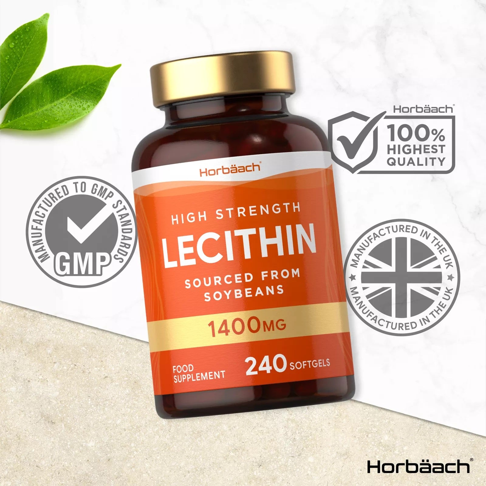 Soy Lecithin 1400 mg | 240 Softgels