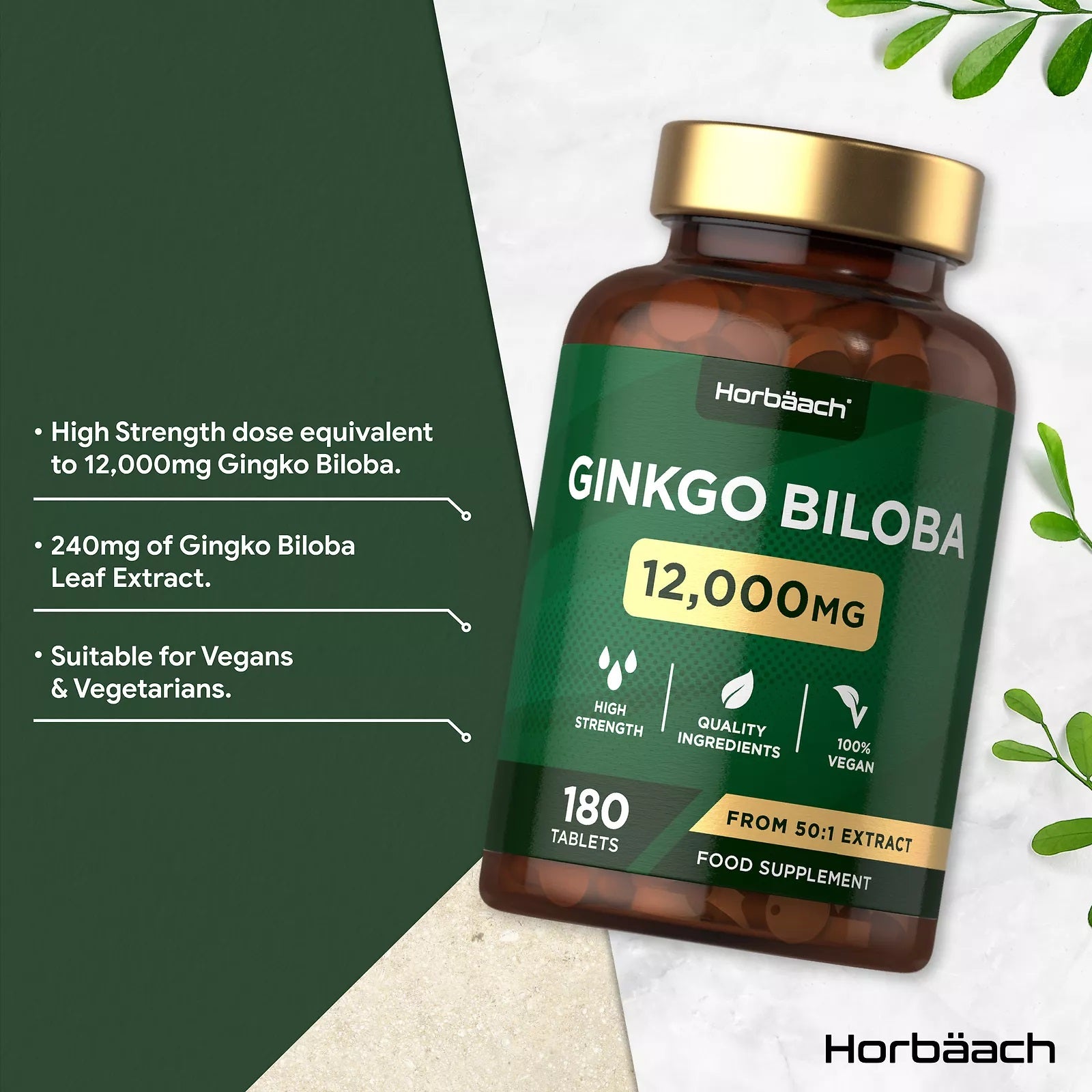 Ginkgo Biloba 12,000 mg | 180 Tablets