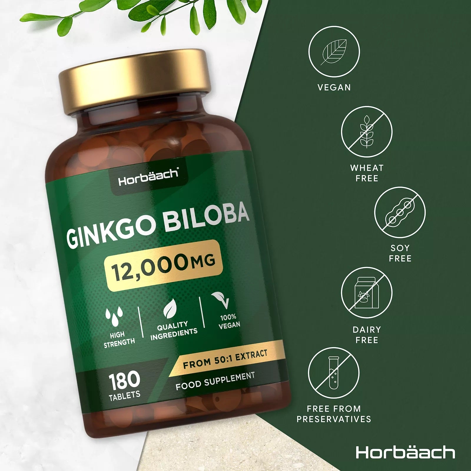 Ginkgo Biloba 12,000 mg | 180 Tablets