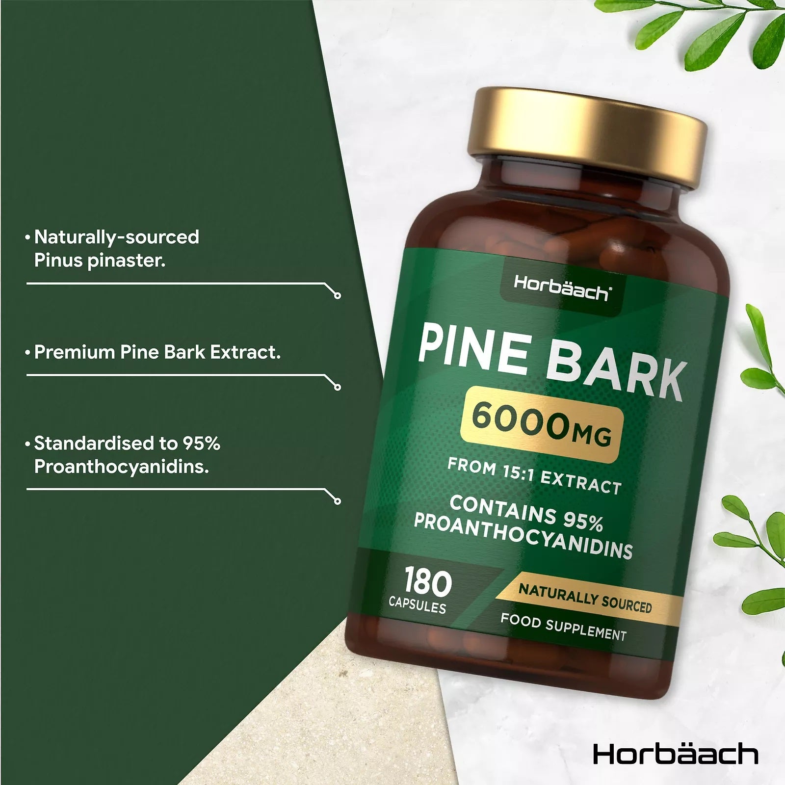 Pine Bark 6000 mg | 180 Capsules